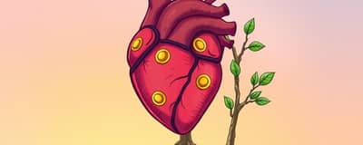 A Psicologia do Dinheiro: Como Nossas Emoções Afetam as Finanças